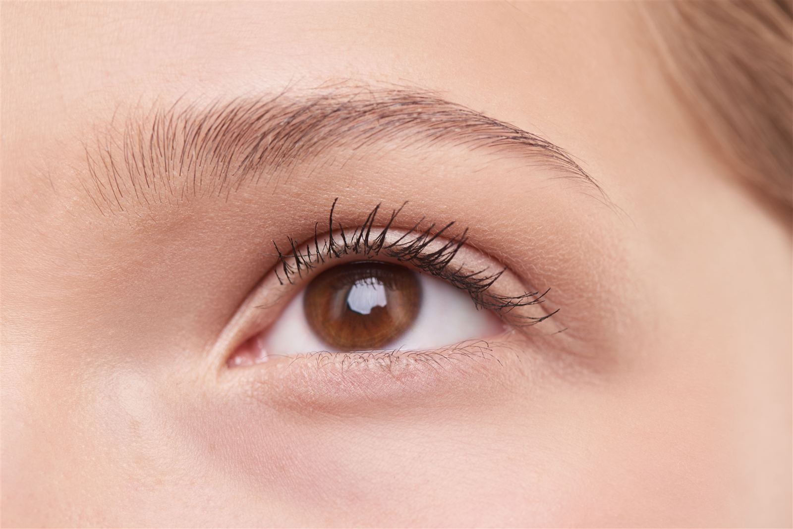 Styled brows after brow lamination service