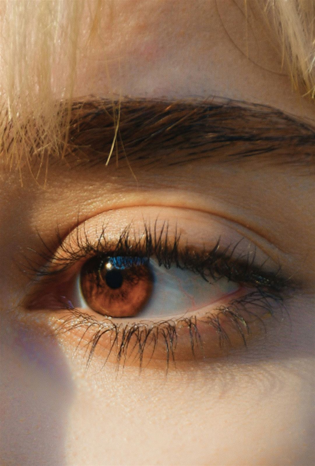 Classic lash set with natural eyelash extensions